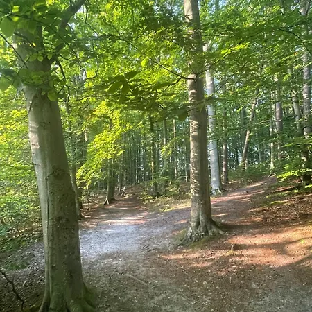 Bed & Breakfast Wolno *