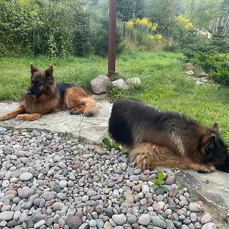 Wolno Bed & Breakfast Otomin