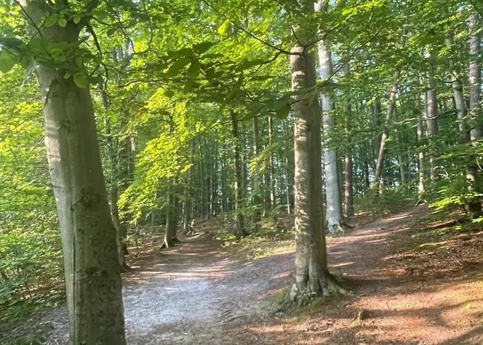 Bed & Breakfast Wolno *