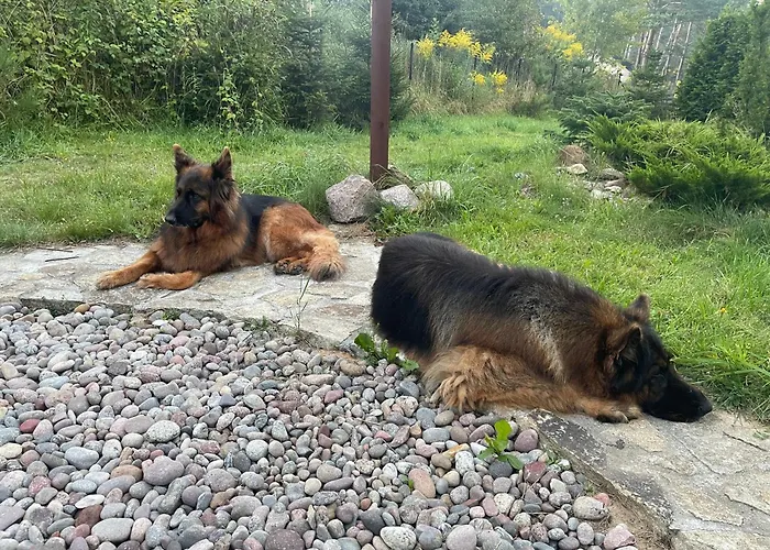 Wolno Bed & Breakfast Otomin